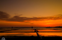 Saline di Marsala