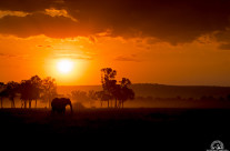 Tramonto nel Masai Mara