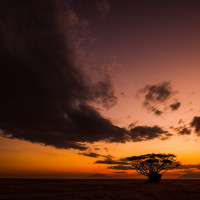 Tramonto ad Amboseli