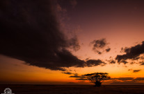 Tramonto ad Amboseli