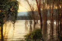 Lake Nakuru color