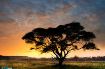 Alba a Lake Nakuru