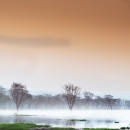 Foschia a Lake Nakuru