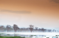 Foschia a Lake Nakuru