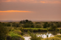 Leonessa al tramonto