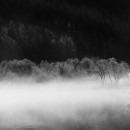Ombre e Luci sul lago