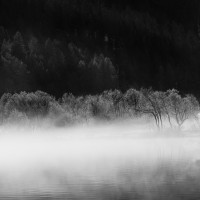 Ombre e Luci sul lago