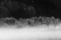 Ombre e Luci sul lago