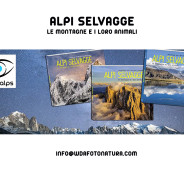 Alpi Selvagge, libro Clickalps