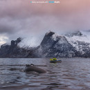 Hikers with whales